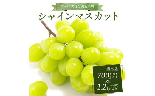 [2025年発送分 先行予約]シャインマスカット 1房 700g以上又は2〜3房 1.2kg以上[025-a020]