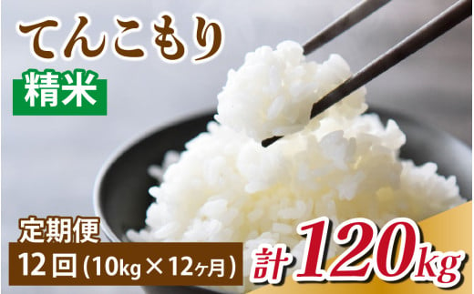 【12ヶ月定期便】　富山県滑川産　「てんこもり」与文のお米 精米 10kg ×12回 計120kg [O-050002] / 産地直送 袋 てんこもり おにぎり お米 白米 国産 ご飯 ごはん 富山県 滑川市 アグリめぐみ 頒布会 定期便 12回 12ヶ月 12ケ月 12ヵ月 12カ月 12か月