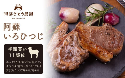 【ふるさと納税】阿蘇いろひつじ 半頭買い 11部位 羊肉 ラム肉  阿蘇さとう農園 1982943 - 熊本県阿蘇市