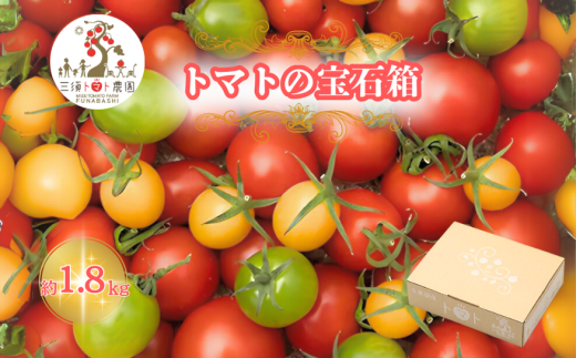 三須トマト農園 宝石箱セット 約1.8kg 船橋産 産地直送 ミニトマト ギフトボックス マスカッティオ サニーアロハ ももちゃん フルーティカ バイオレット アイコ 国産 ビタミンC 詰め合わせバラ箱詰め とまと トマト フルーツトマト 野菜 やさい 人気 新鮮 産地直送 甘い 高糖度 完熟 食べやすい リコピン ビタミン ダイエット 美容 美肌