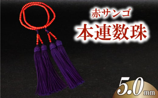 赤サンゴ本連数珠 5.0mm アクセサリー ギフト 珊瑚 サンゴ 贈り物 数珠 プレゼント TP068 1963366 - 高知県須崎市