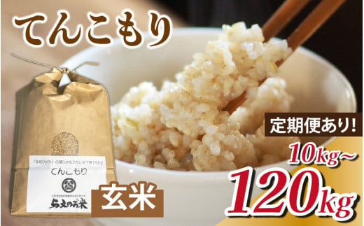 玄米 選べる定期便 単発 10kg 3ヶ月 30kg 6ヶ月 60kg 12ヶ月 120kg 富山県滑川産「てんこもり」与文のお米 / 産地直送 袋 ブランド米 お米 白米 ご飯 ごはん 富山 滑川市 アグリめぐみ 頒布会 農家直送 おこめ コンシェルジュ [B-050001oya]