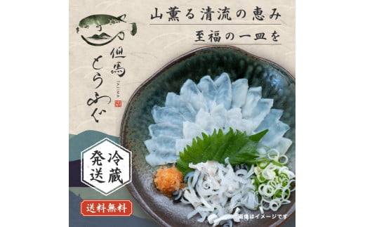 但馬とらふぐ てっさ盛り 3〜4人前(てっさ100g ふぐ皮60g ポン酢30ml) 12.20 よんチャンTV テレビ放送されました ふぐ フグ 河豚 とらふぐ トラフグ てっさ てっぴ ふぐ皮 刺身 ふぐ刺し 冷蔵 曜日指定 金 土 日 内陸養殖 陸上養殖 遊休施設 有効活用 地域活性化 兵庫県 朝来市 AS27C26-0