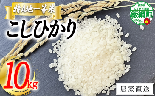 米 東風の里 コシヒカリ 10kg 令和6年産 特A地一等米 東風の会 2024年12月上旬頃から順次発送予定 お米 こしひかり 20500円 信州 長野県 飯綱町 [1912] 1967040 - 長野県飯綱町