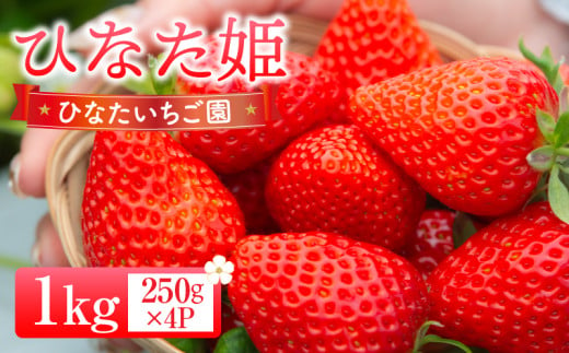 【期間・数量限定】ひなたいちご園【ひなた姫】いちご1kg（250g×4P）_M338-009-02