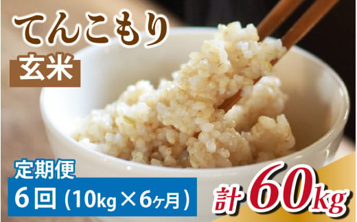 【6ヶ月定期便】 富山県滑川産　「てんこもり」与文のお米 （玄米10kg）×6回 計60kg[K-050001]  / 産地直送 袋 てんこもり おにぎり お米 米 国産 ご飯 ごはん 富山県 滑川市 アグリめぐみ 頒布会 定期便 6回 6ヶ月 6ケ月 6ヵ月 6カ月 6か月