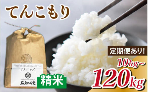 精米 選べる定期便 単発 10kg 3ヶ月 30kg 6ヶ月 60kg 12ヶ月 120kg 富山県滑川産「てんこもり」与文のお米 / 産地直送 袋 ブランド米 お米 白米 ご飯 ごはん 富山 滑川市 アグリめぐみ 頒布会 農家直送 おこめ コンシェルジュ [B-050002oya]