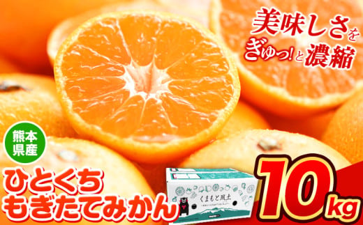 【2025年先行予約】訳あり みかん ひとくちもぎたてみかん 約 10kg (10kg×1箱) S-3Sサイズ 訳あり ご家庭用 熊本県産 （荒尾市産含む） 期間限定 フルーツ 果物 旬 冬 柑橘 小玉 みかん《2025年9月中旬-10月末頃出荷》