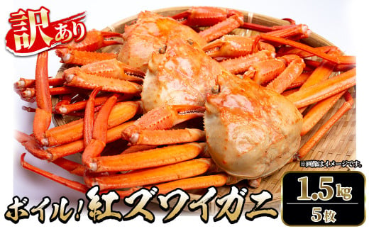 ＜土日祝着※指定日不可＞＜6月～9月中旬発送不可＞＜訳あり＞紅ズワイガニ ボイル1.5kg・5枚)【sm-DD060-B】【Workplays】