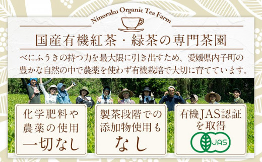 愛媛県内子町のふるさと納税 べにふうきを気軽に試せる　オーガニック和紅茶＆緑茶お試しセット（2種 2個）