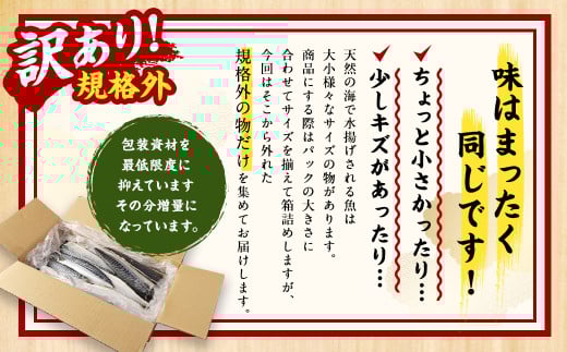 【訳あり規格外】  業務用 無添加 塩さば  どーんと!3kg