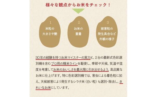 山形県米沢市のふるさと納税 【令和6年産】雪若丸 10kg ( 5kg × 2袋 )  おうちごはん応援米 ブランド米 精米 米 白米 お米マイスター 2024年産 山形県 米沢市