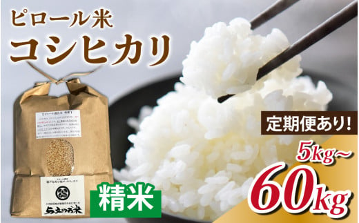 精米 選べる定期便 単発 5kg 3ヶ月 15kg 6ヶ月 30kg 12ヶ月 60kg 富山県滑川産 弱アルカリ性米「ピロール農法米 コシヒカリ」与文のお米 [A-050002-oya] / 産地直送 こしひかり おにぎり お米 国産 ご飯 ごはん 滑川市 ピロール アグリめぐみ 頒布会 アトピー 米 ピロール米 米 こめ コメ コシヒカリ