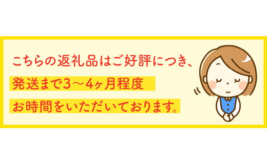 福井県小浜市のふるさと納税 緊急防災２４点セット｜防災グッズ 1人用 災害グッズ 防災バッグ 防災リュック 避難グッズ 避難セット 防災 食 女性 トイレ 水 食品 非常食 ライト 地震 台風 送料無料 （8-2500E）