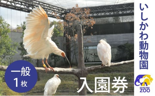 [№5784-1406]チケット いしかわ動物園入園券（一般）石川県 能美市