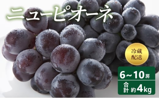 [№5615-0644]【2025年 先行予約】 ニューピオーネ 6～10房 合計約4kg 冷蔵配送 ピオーネ ぶどう 葡萄 フルーツ 果物 岡山 高梁市