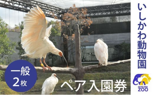 [№5784-1404]チケット いしかわ動物園ペア入園券（一般）石川県 能美市