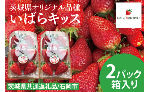 【数量限定】【離島配送不可】いばらキッス 2パック/箱【茨城県共通返礼品/石岡市】【いちご イチゴ 苺 果物 くだもの  フルーツ 茨城県オリジナル品種 茨城県】（LX-1）