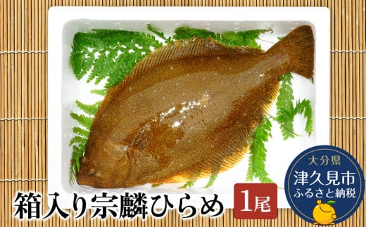 箱入り宗麟ひらめ 1尾 ヒラメ 平目 鮃 刺身 刺し身 生魚 新鮮 大分県産 九州産 津久見市 国産