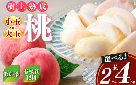 桃( 小玉 or 大玉) 約2〜4kg 箱| フルーツ 果物 くだもの もも モモ ピーチ 奈良県 五條市 果実 果汁