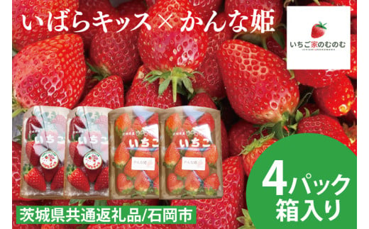 【数量限定】【離島配送不可】いばらキッス×かんな姫 4パック/箱【茨城県共通返礼品/石岡市】【いちご イチゴ 苺 果物 くだもの  フルーツ 茨城県オリジナル品種 茨城県】（LX-6）