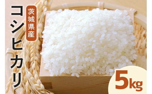 令和7年度産 みねしまふぁーむ 常陸牛農家が育てるコシヒカリ 5kg コシヒカリ 低農薬 低化学肥料 米 発送直前に精米 精米 コシヒカリ米 茨城県産 白米 お米 コメ おこめ こめ こしひかり 有機 ブランド 健康 ギフト 贈り物 867823 - 茨城県那珂市