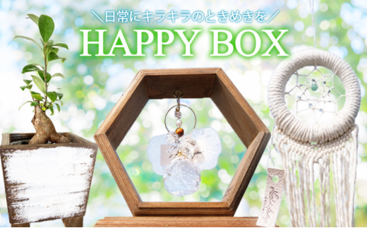 インテリア HAPPY BOX ~運気を引き寄せる4つのアイテム~ ガジュマル・木製プランター・サンキャッチャー・ドリームキャッチャー 雑貨 1370210 - 福岡県小郡市
