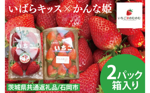 【数量限定】【離島配送不可】いばらキッス×かんな姫 2パック/箱【茨城県共通返礼品/石岡市】【いちご イチゴ 苺 果物 くだもの  フルーツ 茨城県オリジナル品種 茨城県】（LX-5）