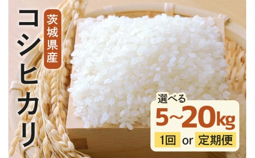 令和6年度産 みねしまふぁーむ 常陸牛農家が育てるコシヒカリ 5kg 10kg 15kg 20kg 定期便 6ヶ月 12ヶ月 コシヒカリ 低農薬 低化学肥料 米 発送直前に精米 精米 コシヒカリ米 茨城県産 白米 お米 コメ おこめ こめ こしひかり 有機 ブランド 健康 ギフト 贈り物