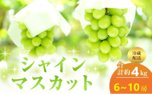 [№5615-0646]【2025年 先行予約】 シャインマスカット 6～10房 合計約4kg 冷蔵配送 ぶどう 葡萄 フルーツ 果物 岡山 高梁市