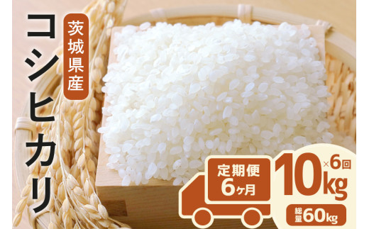 定期便 常陸牛農家が育てるコシヒカリ 10kg×6回 令和7年度産 米 お米 白米 こめ 精米 取り寄せ 特産 ごはん ご飯 コメ お取り寄せ ギフト 贈り物 お弁当 弁当 おにぎり ふっくら ツヤツヤ 甘い 農家直送 産地直送 国産 茨城県産