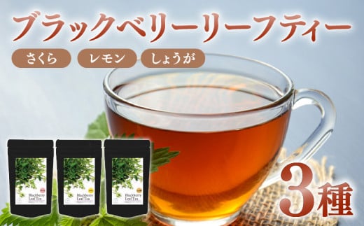 ブラックベリー リーフ ティー 3種 計60g さくら しょうが レモン 紅茶 国産 フルーツ 果物 茶 お茶  ブレンド ノンカフェイン 静岡県 藤枝市