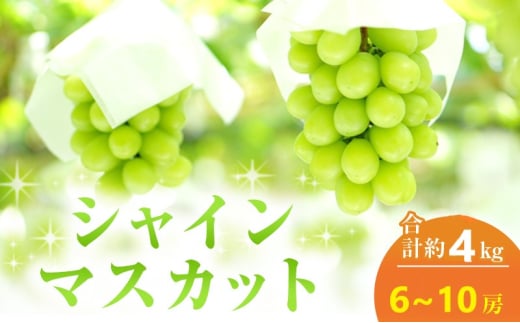 [№5615-0645]【2025年 先行予約】 シャインマスカット 6～10房 合計約4kg 常温配送 ぶどう 葡萄 フルーツ 果物 岡山 高梁市