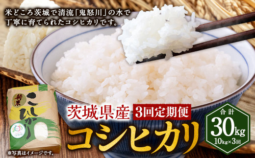 【3ヶ月定期便】コシヒカリ 10kg 計30kg 米 お米 ご飯 ごはん こしひかり 白米 精米 茨城県 守谷市 1963762 - 茨城県守谷市