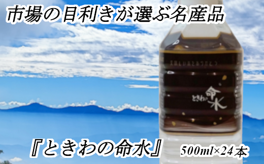 【011-55】市場の目利きが選ぶ名産品『ときわの命水』　