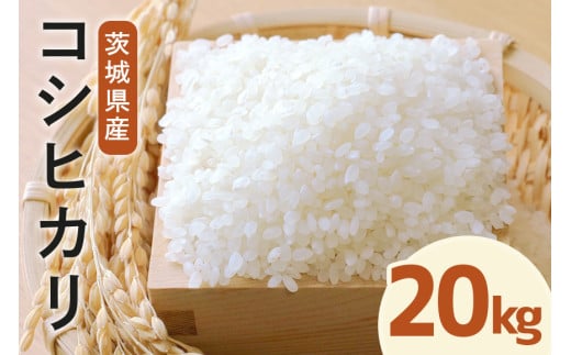 令和7年度産 常陸牛農家が育てるコシヒカリ 20kg 米 お米 白米 こめ 精米 取り寄せ 特産 ごはん ご飯 コメ お取り寄せ ギフト 贈り物 お弁当 弁当 おにぎり ふっくら ツヤツヤ 甘い 農家直送 産地直送 国産 茨城県産