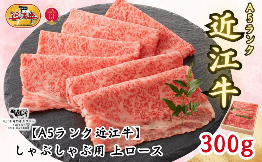 【A5ランク近江牛】しゃぶしゃぶ 上ロース（300g）2~3人前 919058 - 滋賀県滋賀県庁