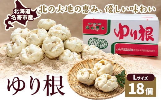 令和6年度産 北海道名寄産 ゆり根 Lサイズ18個入り《2024年10月下旬～11月中旬頃出荷》 216415 - 北海道名寄市