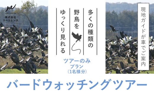 十勝バードウォッチングツアー ツアーのみ 体験型返礼品 656797 - 北海道浦幌町