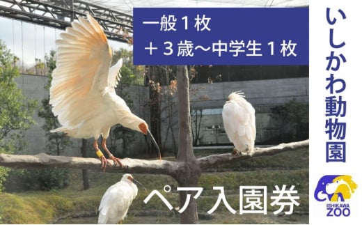 [№5784-1405]チケット いしかわ動物園ペア入園券（一般＋3歳以上中学生以下）石川県 能美市