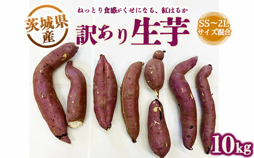 【訳あり】生芋10kg　SSサイズ～2Lサイズ（サイズバラ）　※離島への配送不可　※2024年11月下旬～2025年9月下旬頃に順次発送予定