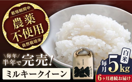 【全6回定期便】ミルキークイーン 5kg 白米 自然栽培米　【令和6年産】 滋賀県長浜市/株式会社お米の家倉 [AQCP014] 米 定期便 白米  5kg ミルキークイーン 自然栽培米 1453173 - 滋賀県長浜市