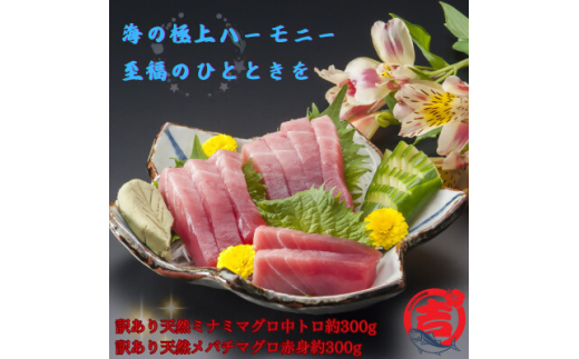 ＜訳あり＞天然ミナミマグロ中トロ&天然メバチマグロ赤身(それぞれ約300g)【1585564】 1957292 - 千葉県館山市