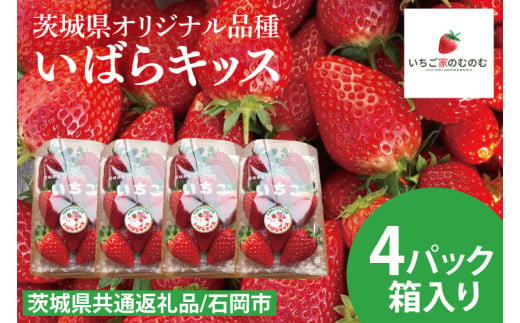 【数量限定】【離島配送不可】いばらキッス 4パック/箱【茨城県共通返礼品/石岡市】【いちご イチゴ 苺 果物 くだもの  フルーツ 茨城県オリジナル品種 茨城県】（LX-2）