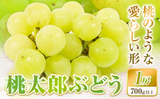 [2025年先行予約]桃太郎ぶどう 1房 700g ウィズフラワーホールディングス[2025年8月下旬-10月中旬頃出荷]岡山県 浅口市 ぶどう フルーツ 旬 果物 国産 岡山県産 送料無料 冷蔵 [配送不可地域あり](北海道・沖縄・離島)