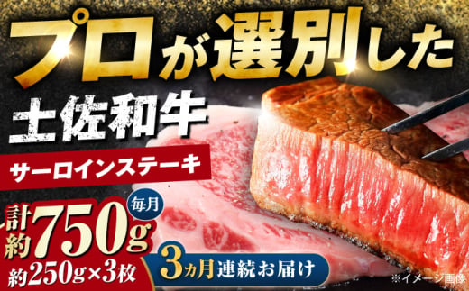 [3回定期便]土佐黒毛和牛 サーロインステーキ (約250g×3枚) 総計約2.25kg [株式会社 四国健商] [ATAF128] すてーき ステーキ肉 牛肉 国産 ブランド 和牛 黒毛和牛