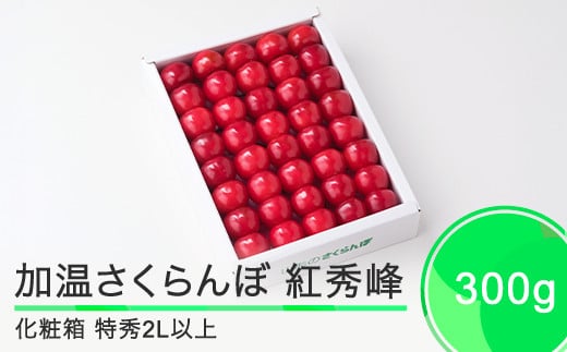 加温 さくらんぼ 紅秀峰 特秀品 2L玉 化粧箱 300g 2025年産 フルーツ 果物 山形県 ja-bsk2x300 1963785 - 山形県大石田町