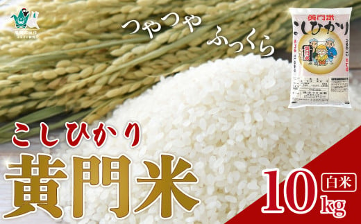 [令和6年産]黄門米 コシヒカリ 白米 10kg | 茨城県産 常陸太田市 タツミ米穀 コシヒカリ こしひかり 10kg 10キロ 米 こめ コメ お米 白米 精米 お取り寄せ 贈答 人気 ランキング ごはん 贈り物 10キロ 風味 甘い 米どころ ブランド米 人気米