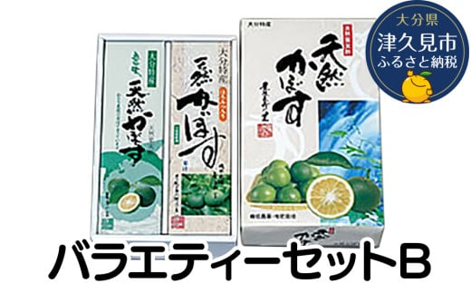 バラエティーセットB（天然かぼす 1L×1本・ はちみつ入り かぼす果汁 1L×1本） かぼす果汁100％ カボス かぼすジュース カボス果汁 ポン酢 ぽん酢 大分県産 九州産 津久見市 熨斗対応可