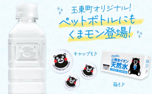 熊本県玉東町のふるさと納税 熊本イオン純天然水 ラベルレス 500ml×45本 お試し 《45日以内に出荷予定(土日祝除く)》 水 飲料水 ナチュラルミネラルウォーター 熊本県 玉名郡 玉東町 完全国産 天然水